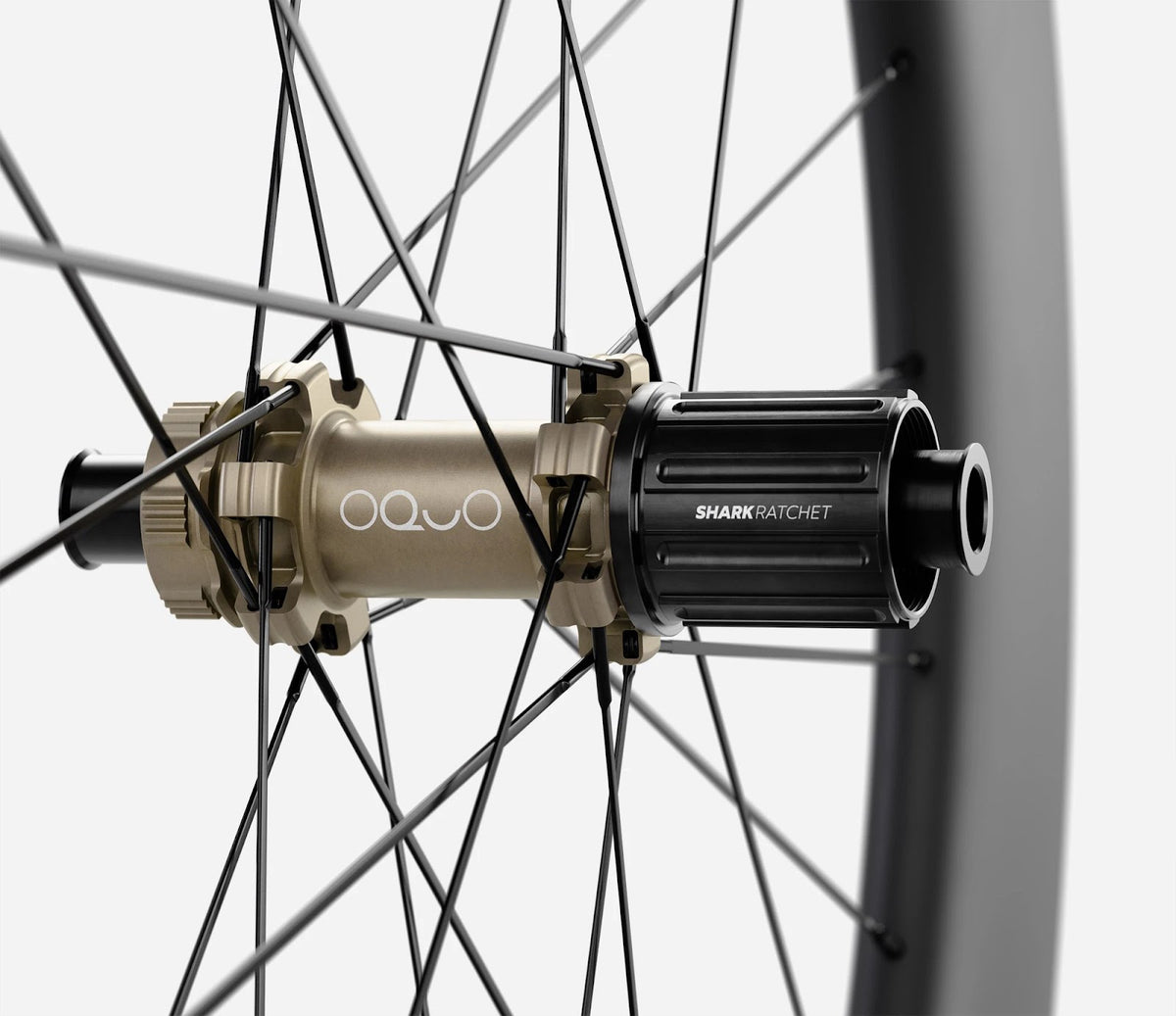 O1820075