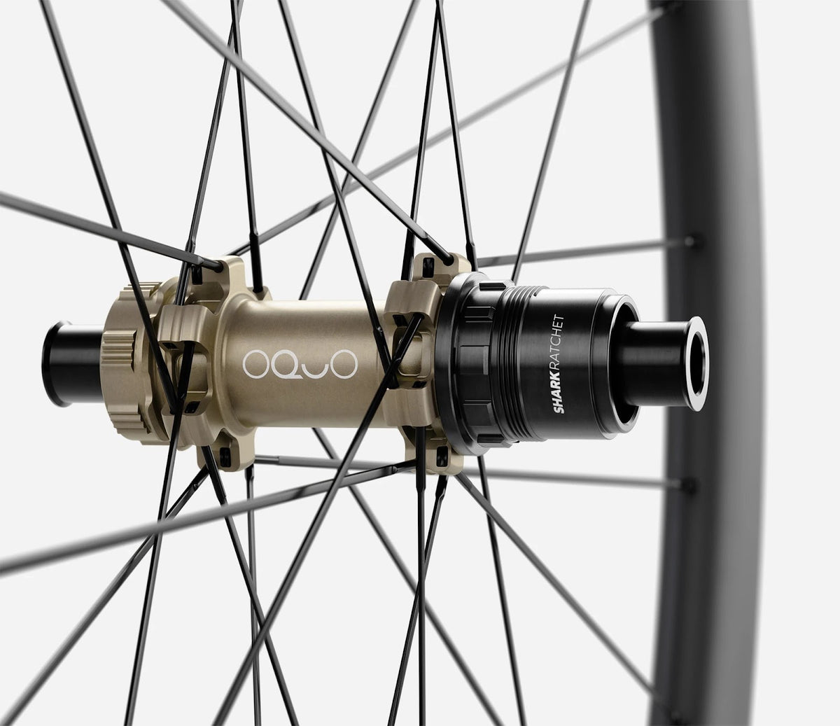 O1610076