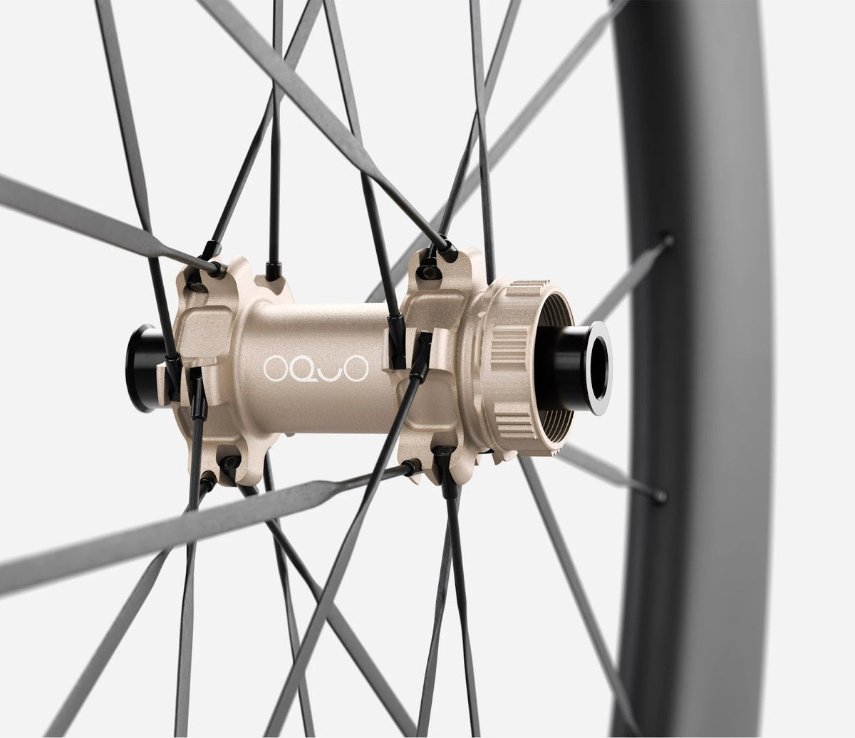 O1990037
