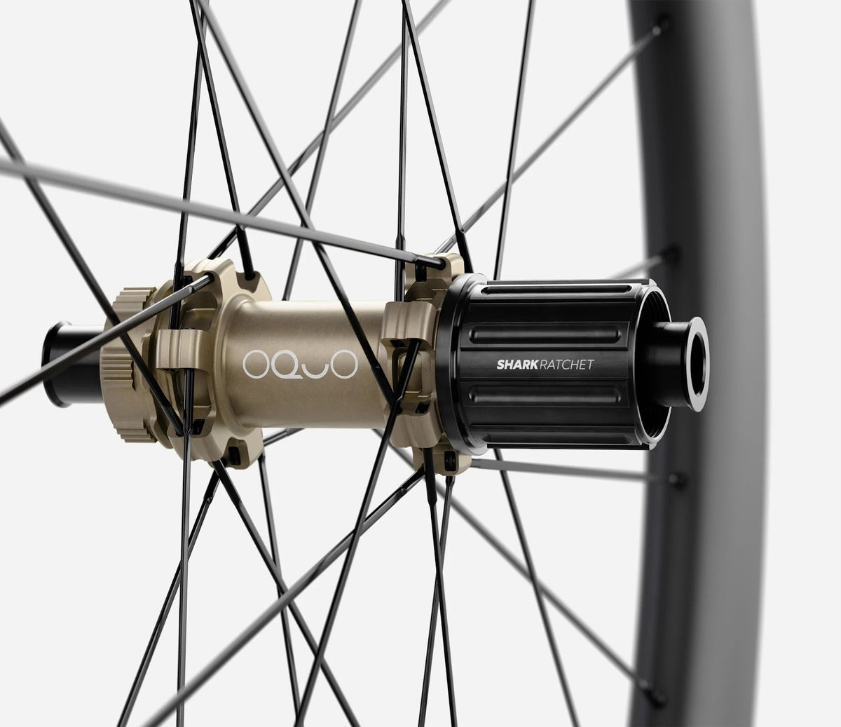 O1800037