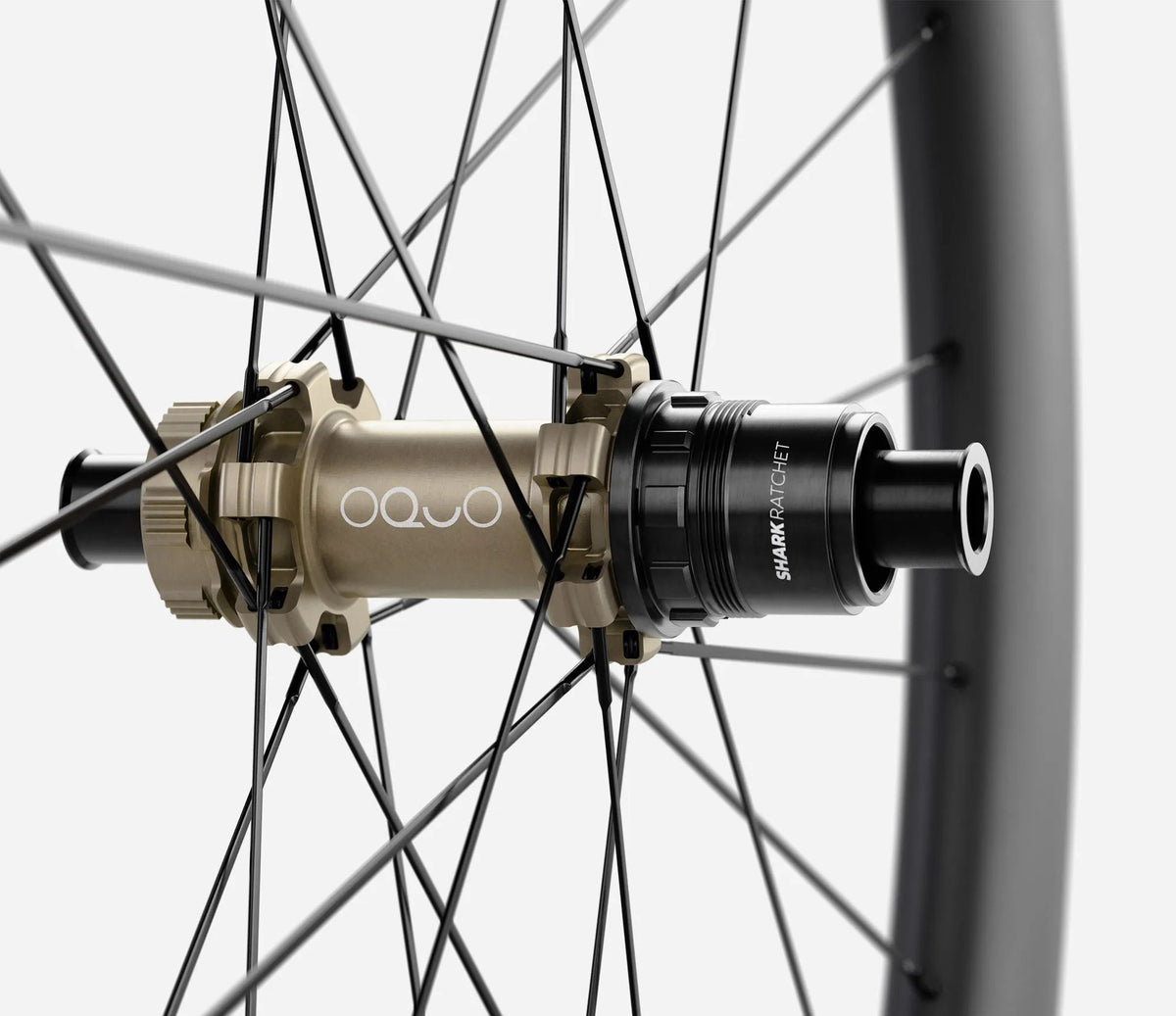 front-04-oquo-rp50ltd-xdr